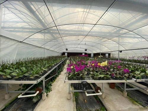 吃瓜群爆料大棚视频,吃瓜群爆料背后的农业真相 第1张 吃瓜群爆料大棚视频,吃瓜群爆料背后的农业真相 第1张